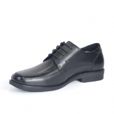 Official shoes SP-23503
